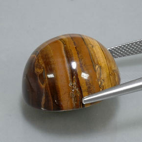 Tiger's eye marron naturelle coupe roude, 38,37 ct, opaque