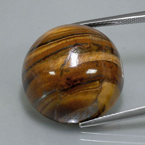 Tiger's eye marron naturelle coupe roude, 39,32 ct, opaque