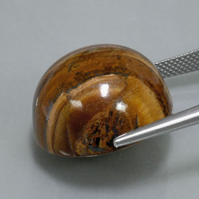 Tiger's eye marron naturelle coupe roude, 39,32 ct, opaque