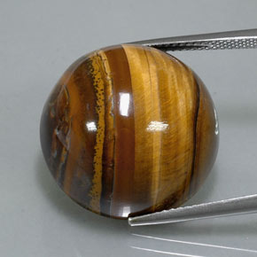 Tiger's eye marron naturelle coupe roude, 37,12 ct, opaque