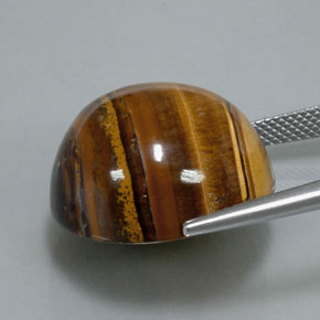 Tiger's eye marron naturelle coupe roude, 37,12 ct, opaque
