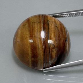 Tiger's eye marron naturelle coupe roude, 36,50 ct, opaque