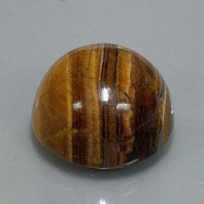 Tiger's eye marron naturelle coupe roude, 36,50 ct, opaque