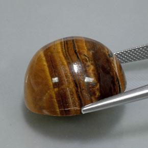 Tiger's eye marron naturelle coupe roude, 36,50 ct, opaque