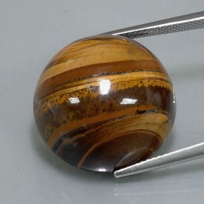 Tiger's eye marron naturelle coupe roude, 37,72 ct, opaque
