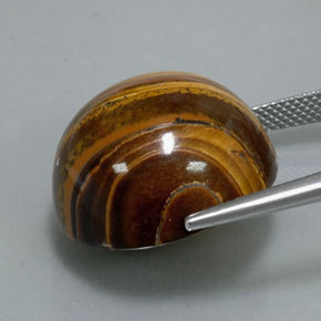 Tiger's eye marron naturelle coupe roude, 37,72 ct, opaque