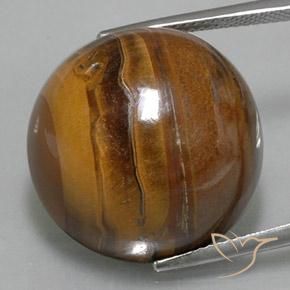 37.62ct Naturel Marron chaud Oeil de Tigre, Tour, Opaque