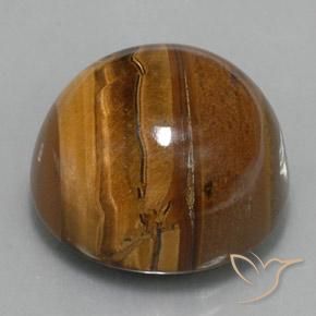 Œil de tigre Marron chaud naturelle Tour, 37.62 ct, Opaque