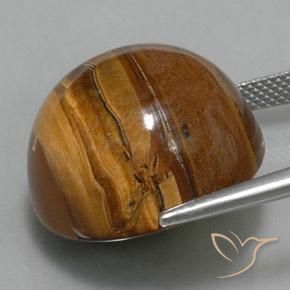 Œil de tigre Marron chaud naturelle Tour, 37.62 ct, Opaque