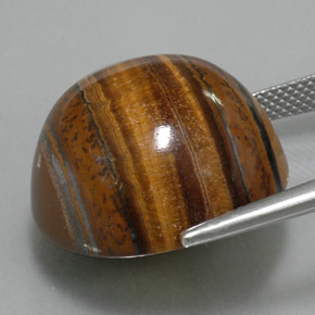 Oeil de Tigre Or Brun naturelle Coupe roude, 38.29 ct, Opaque