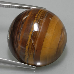 Tiger's eye marron naturelle coupe roude, 36,89 ct, opaque