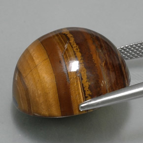 Tiger's eye marron naturelle coupe roude, 36,89 ct, opaque