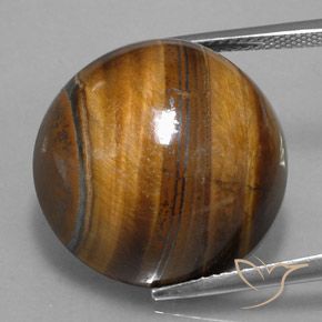 Oeil de Tigre Marron chaud naturelle Coupe roude, 36.45 ct, Opaque