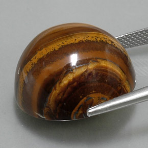 Tiger's eye marron naturelle coupe roude, 36,33 ct, opaque