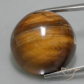36.10ct Naturel Brun pain d'épices Oeil de Tigre, Tour, Opaque