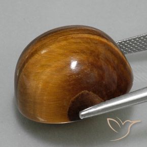 Œil de tigre Brun pain d'épices naturelle Tour, 36.10 ct, Opaque