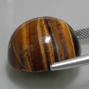 Tiger's eye marron naturelle coupe roude, 36,96 ct, opaque