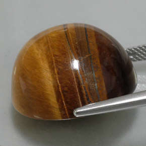 Tiger's eye marron naturelle coupe roude, 36,05 ct, opaque