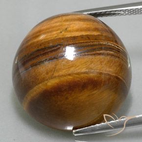 36.73ct Naturel Brun moyen Oeil de Tigre, Tour, Opaque