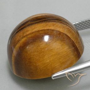 Œil de tigre Brun moyen naturelle Tour, 36.73 ct, Opaque