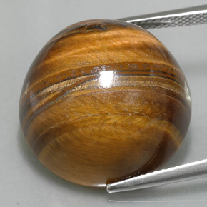 Tiger's eye marron naturelle coupe roude, 37,11 ct, opaque