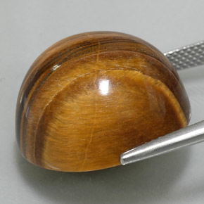 Tiger's eye marron naturelle coupe roude, 37,11 ct, opaque