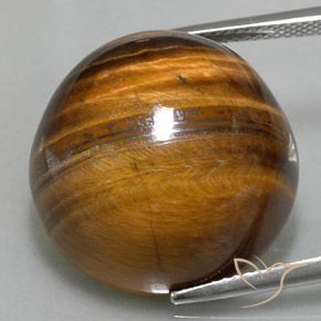 35.20ct Naturel Brun moyen Oeil de Tigre, Tour, Opaque