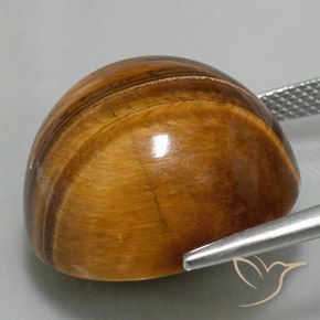 Œil de tigre Brun moyen naturelle Tour, 35.20 ct, Opaque