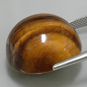 Oeil de Tigre Or Brun naturelle Coupe roude, 37.73 ct, Opaque