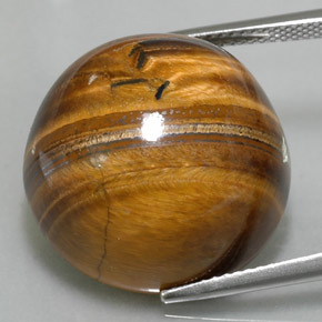 Tiger's eye marron naturelle coupe roude, 37,40 ct, opaque