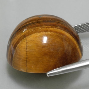 Tiger's eye marron naturelle coupe roude, 37,40 ct, opaque