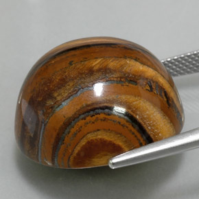 Tiger's eye marron naturelle coupe roude, 39,11 ct, opaque