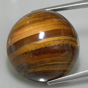 Tiger's eye marron naturelle coupe roude, 35,88 ct, opaque