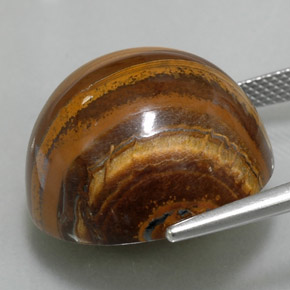Tiger's eye marron naturelle coupe roude, 35,88 ct, opaque