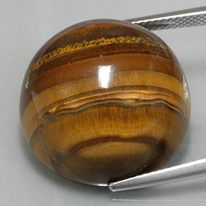 Oeil de Tigre Or Brun naturelle Coupe roude, 37.23 ct, Opaque
