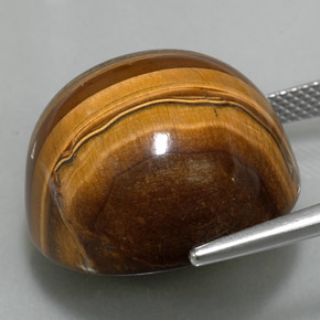 Oeil de Tigre Or Brun naturelle Coupe roude, 37.23 ct, Opaque