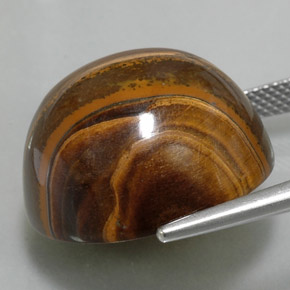 Oeil de Tigre Or Brun naturelle Coupe roude, 36.02 ct, Opaque