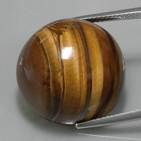 Tiger's eye marron naturelle coupe roude, 38,33 ct, opaque