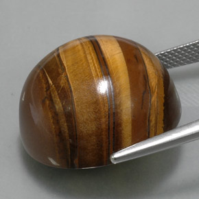 Tiger's eye marron naturelle coupe roude, 38,33 ct, opaque