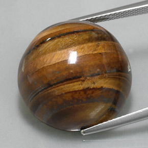 Tiger's eye marron naturelle coupe roude, 36,56 ct, opaque
