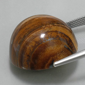 Tiger's eye marron naturelle coupe roude, 36,56 ct, opaque