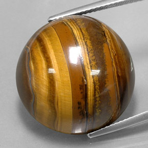 Tiger's eye marron naturelle coupe roude, 37,72 ct, opaque