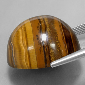 Tiger's eye marron naturelle coupe roude, 37,72 ct, opaque