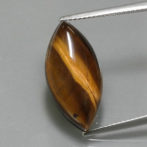 Oeil de Tigre Or Brun naturelle Marquise, 9.18 ct, Opaque