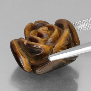 Tiger's eye marron naturelle forme fantaisie, 12,35 ct, opaque