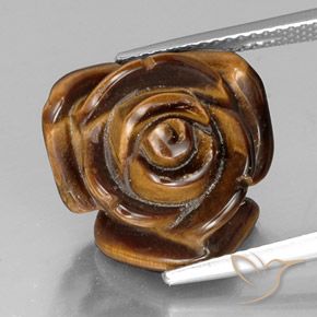 11.30ct Naturel Caramel brun Oeil de Tigre, Fantaisie, Opaque