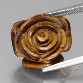 11.38ct Naturel Brun rougeâtre Œil de tigre, Fantaisie, Opaque