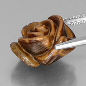 Tiger's eye marron naturelle forme fantaisie, 11,61 ct, opaque