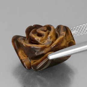 Tiger's eye marron naturelle forme fantaisie, 10,44 ct, opaque