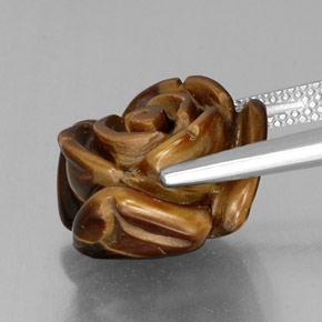 Tiger's eye marron naturelle forme fantaisie, 11,53 ct, opaque